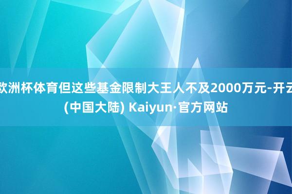 欧洲杯体育但这些基金限制大王人不及2000万元-开云(中国大陆) Kaiyun·官方网站