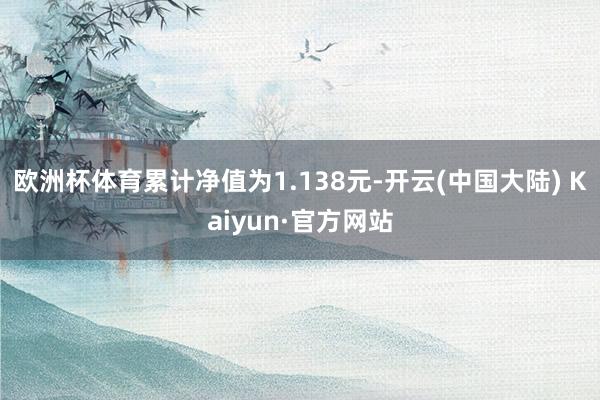 欧洲杯体育累计净值为1.138元-开云(中国大陆) Kaiyun·官方网站