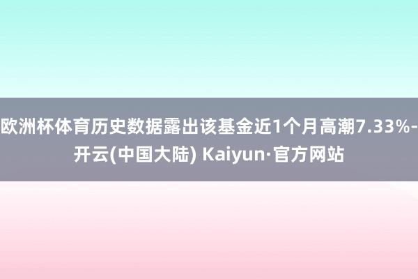 欧洲杯体育历史数据露出该基金近1个月高潮7.33%-开云(中