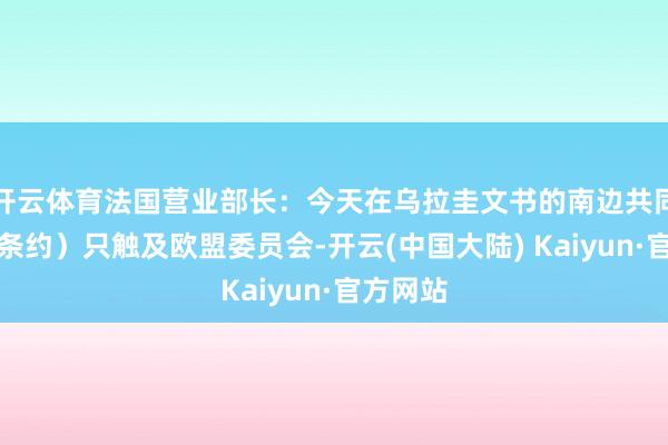 开云体育法国营业部长：今天在乌拉圭文书的南边共同商场（条约）只触及欧盟委员会-开云(中国大陆) Kaiyun·官方网站