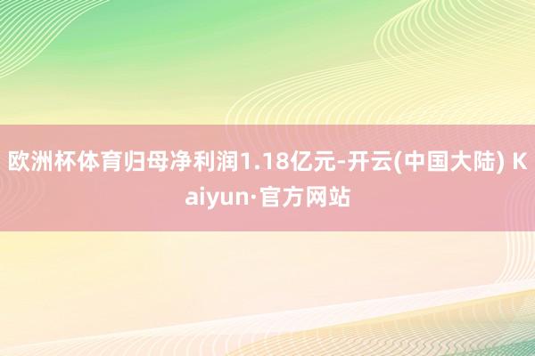 欧洲杯体育归母净利润1.18亿元-开云(中国大陆) Kaiyun·官方网站